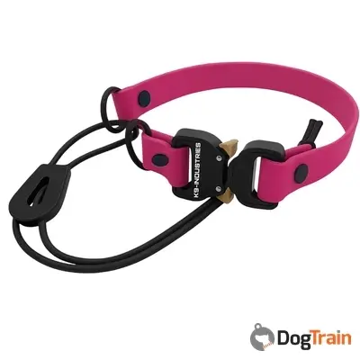 רצועה חלופית לקולר אילוף משולבת סגירת בנג'י3_processed