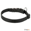 NC-4653-קולר_ניילון_לכלב_עם_תפס_מהיר_מפלדה_3