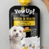 YowUp!_skin_&_hair_יוגורט_לכלבים_2