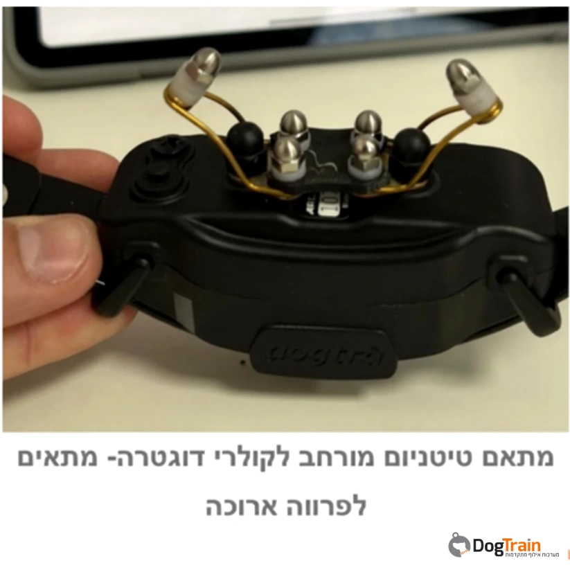 dogtra_קשת_פרפרית_לקולרים_אלקטרונים_של_חברת_דוגטרה_ו-ecollar_2