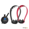 e-collar the boss 802