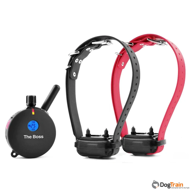 e-collar the boss 802