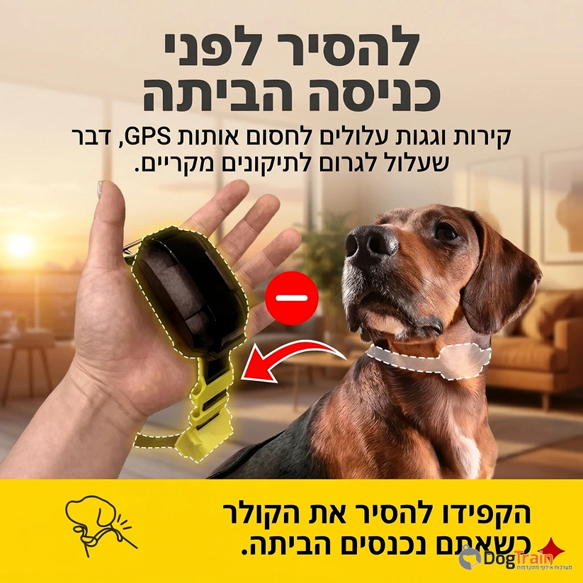 גדר_אלחוטית_GPS_לכלבים_ללא_התקנה_וללא_דמי_מנוי_חודשיים_4