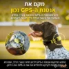 גדר_אלחוטית_GPS_לכלבים_ללא_התקנה_וללא_דמי_מנוי_חודשיים_5