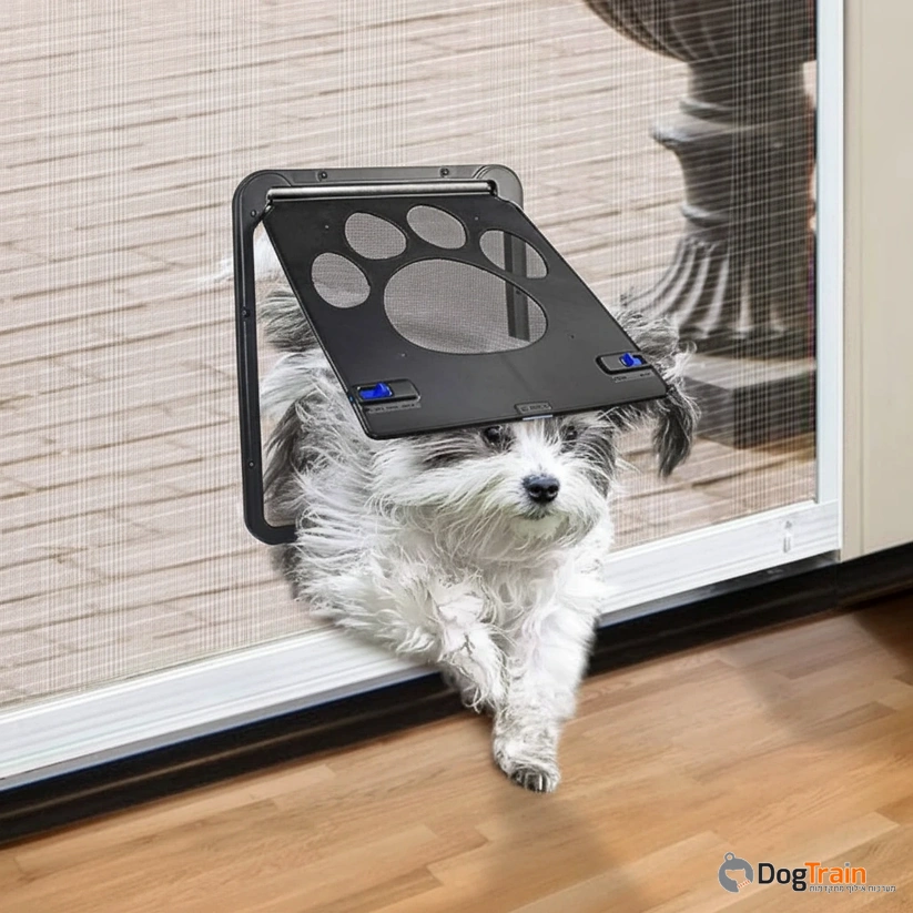 דלת_מעבר_קטנה_לכלבים_קטנים_ולחתולים_לדלתות_רשת_חרקים_1