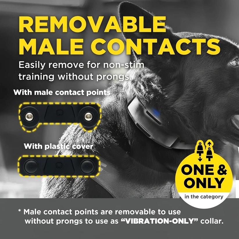 קולר_אילוף_אלחוטי_דוגטרה_1200X_במהדורה_שחורה-_Black_Edition_תואם_1900X_BLACK_EDTION_6