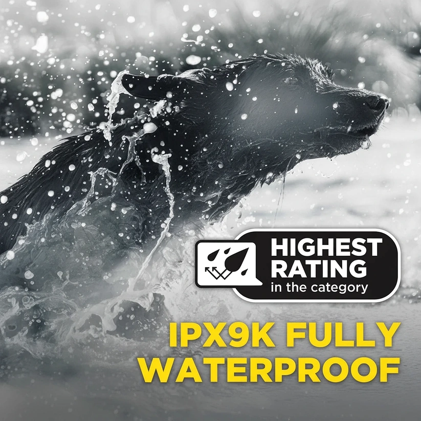 קולר_אילוף_אלחוטי_דוגטרה_1200X_במהדורה_שחורה-_Black_Edition_תואם_1900X_BLACK_EDTION_7