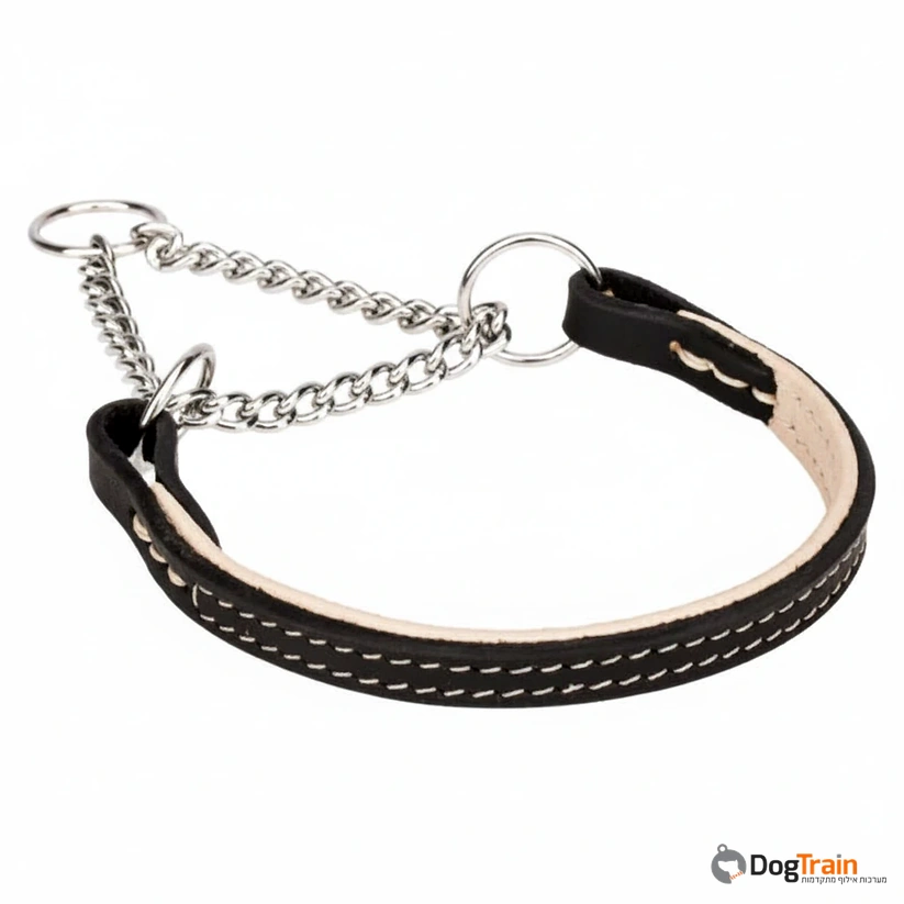 קולר_חצי_חנק_משולב_עור_1