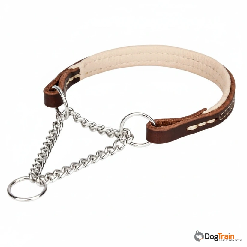 קולר_חצי_חנק_משולב_עור_2