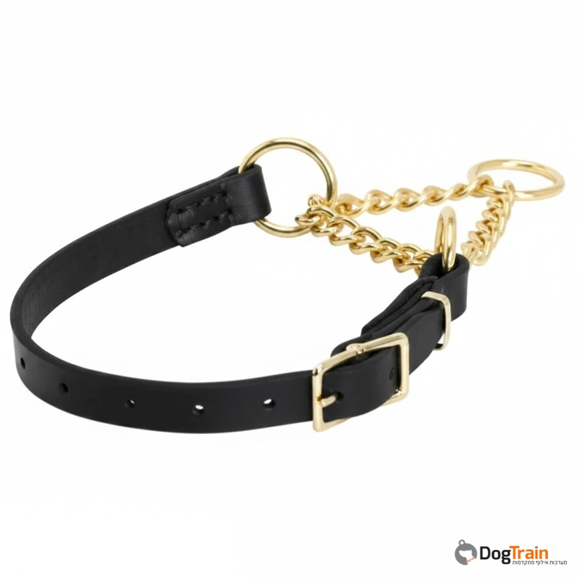 קולר_חצי_חנק_מתכוונן-_לכלבים_בינונים_וגדולים_2