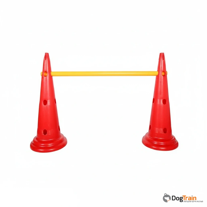 קונוס_אג׳יליטי_קפיצה_לכלבים_וספורט_כלבני_1