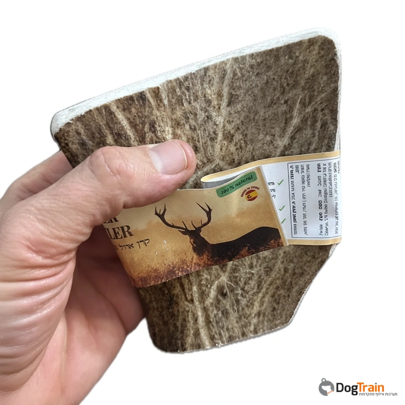 קרן_אייל_MOOSE_שטוחה_ב-2_מידות_לבחירה_לכל_סוגי_הכלבים_1