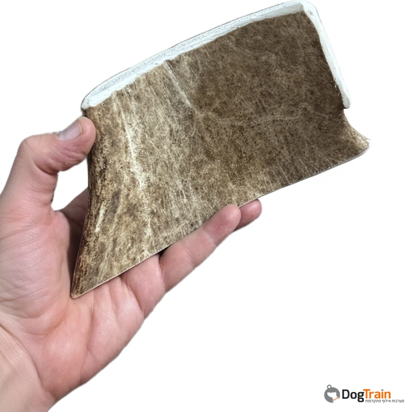 קרן_אייל_MOOSE_שטוחה_ב-2_מידות_לבחירה_לכל_סוגי_הכלבים_2