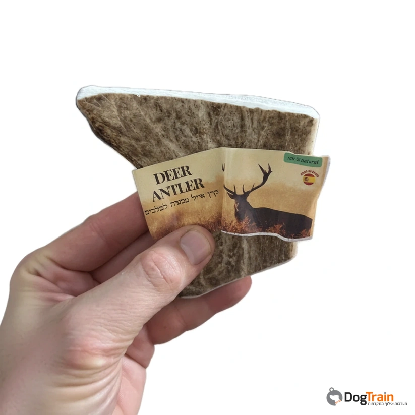 קרן_אייל_MOOSE_שטוחה_ב-2_מידות_לבחירה_לכל_סוגי_הכלבים_4