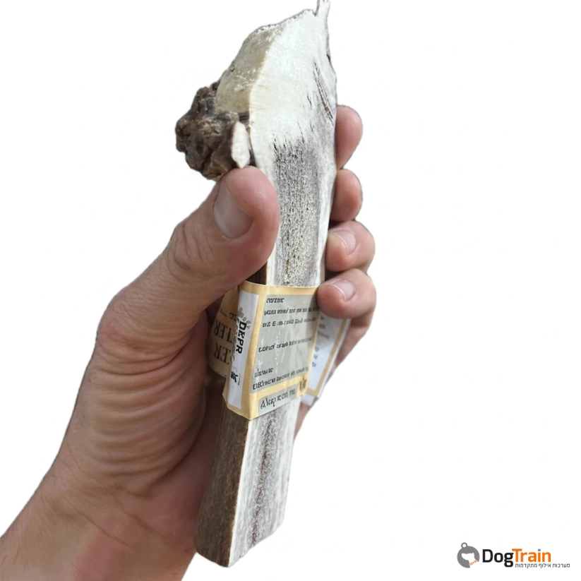 קרן_אייל_אדום_חצויה_לאורכה_לכל_סוגי_הכלבים_1