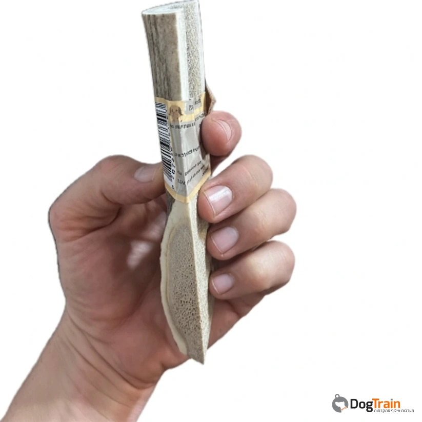 קרן_אייל_אדום_חצויה_לאורכה_לכל_סוגי_הכלבים_2