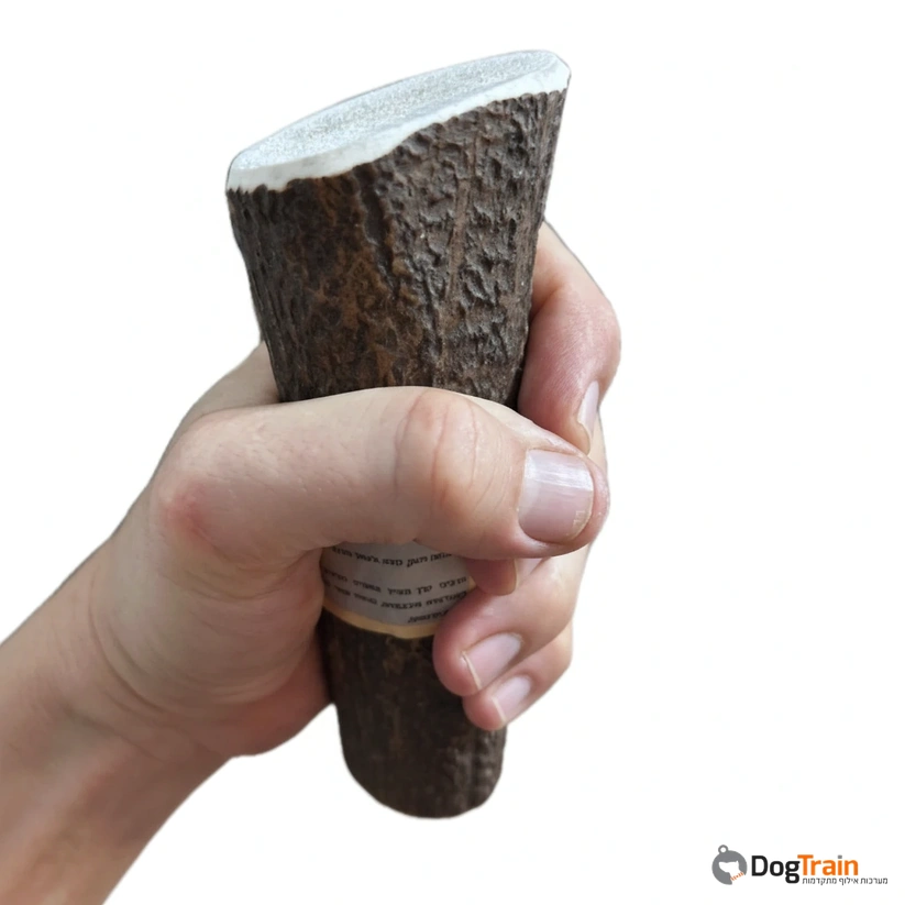 קרן_אייל_שלמה_לכל_סוגי_הכלבים_3