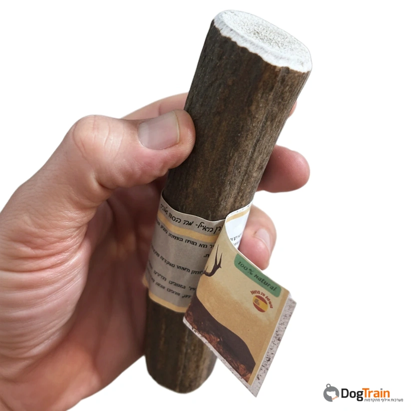 קרן_אייל_שלמה_לכל_סוגי_הכלבים_4