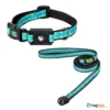 רצועה_+_קולר_מגנטי_לכלבים_ב_2_גדלים_7