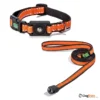 רצועה_+_קולר_מגנטי_לכלבים_ב_2_גדלים_8