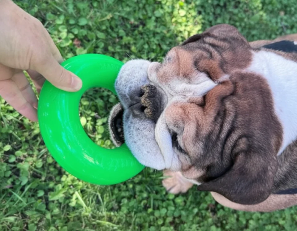 Dawg-Ring Dawg-Ring XL
