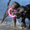 Dawg-Ring Dawg-Ring XL