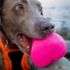 Dawg_Hart_Dawg_Hart_1_1