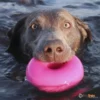 Ruff_Dawg_Nut_צעצוע_לעיסה_ומשחק_לכלב_בצורת_דונאט_בלתי_ניתן_לקריעה_4