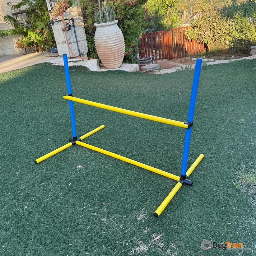 ג'אמפ אג'יליטי לכלבים