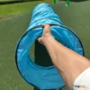 מנהרת אג'יליטי לכלבים