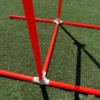 ג'אמפ אג'יליטי לכלבים