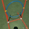 ג'אמפ חישוק אג'יליטי לכלבים