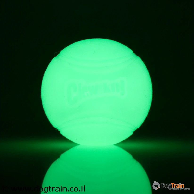 ChuckIt_Max_Glow-כדור_פולט_אור_מגומי_איכותי_עמיד_2