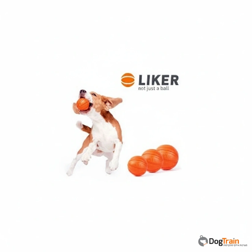 LIKER_לייקר-_כדור_איכותי_לכלבים_קל_משקל_וצף_במים_2
