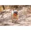 זוג_כדורי_ChuckIt_Air_Fetch_Ball_מידה_M_עם_אחזור_אוויר_לכלב_4