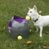 יורה_כדורי_טניס_אוטומטי_של_PetSafe_2