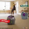 יורה_כדורי_טניס_אוטומטי_של_PetSafe_4