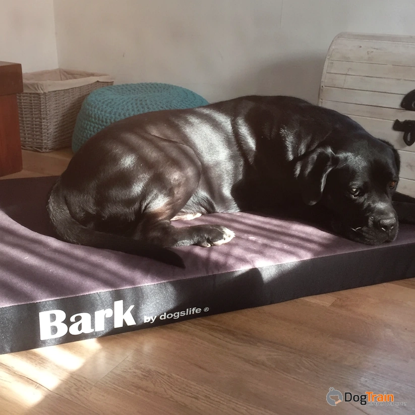 מזרן_Bark_איכותי_ביותר_לכלבים_עשוי_קורדורה_ומצע_עליון_מבד_עמיד_לשריטות_2