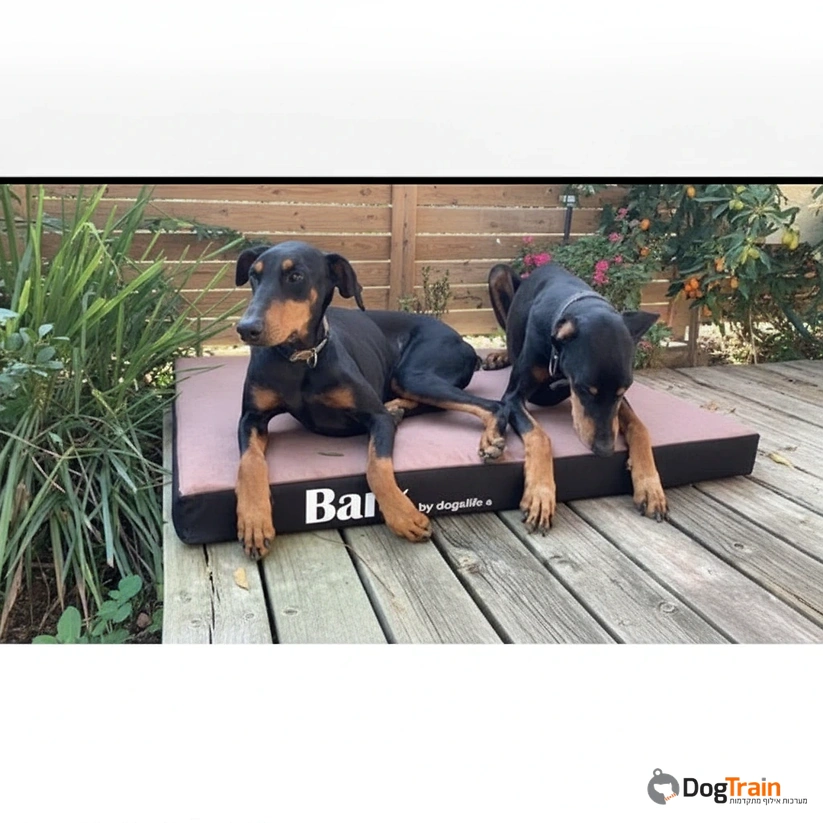 מזרן_Bark_איכותי_ביותר_לכלבים_עשוי_קורדורה_ומצע_עליון_מבד_עמיד_לשריטות_4