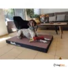 מזרן_Bark_איכותי_ביותר_לכלבים_עשוי_קורדורה_ומצע_עליון_מבד_עמיד_לשריטות_5