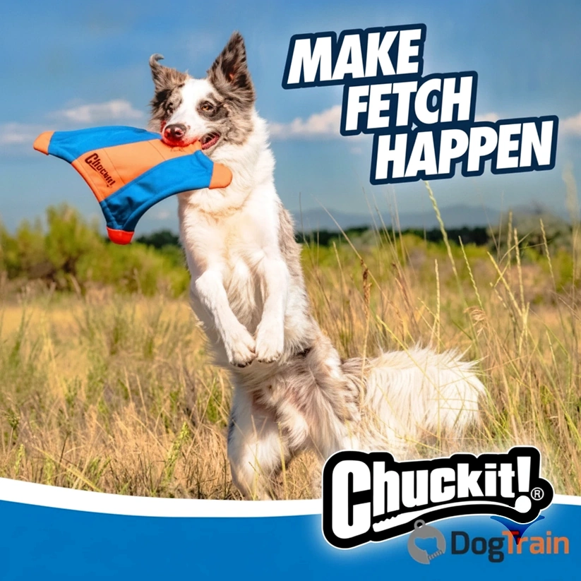 פריסבי_סנאי_מעופף_ChuckIt_FLYING_SQUIRREL_לכלבים_1