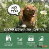 קולר_אלקטרוני_דוגטרה_דור_חדש_dogtra_IQ_FLEX_(CUE_GEN2)_3