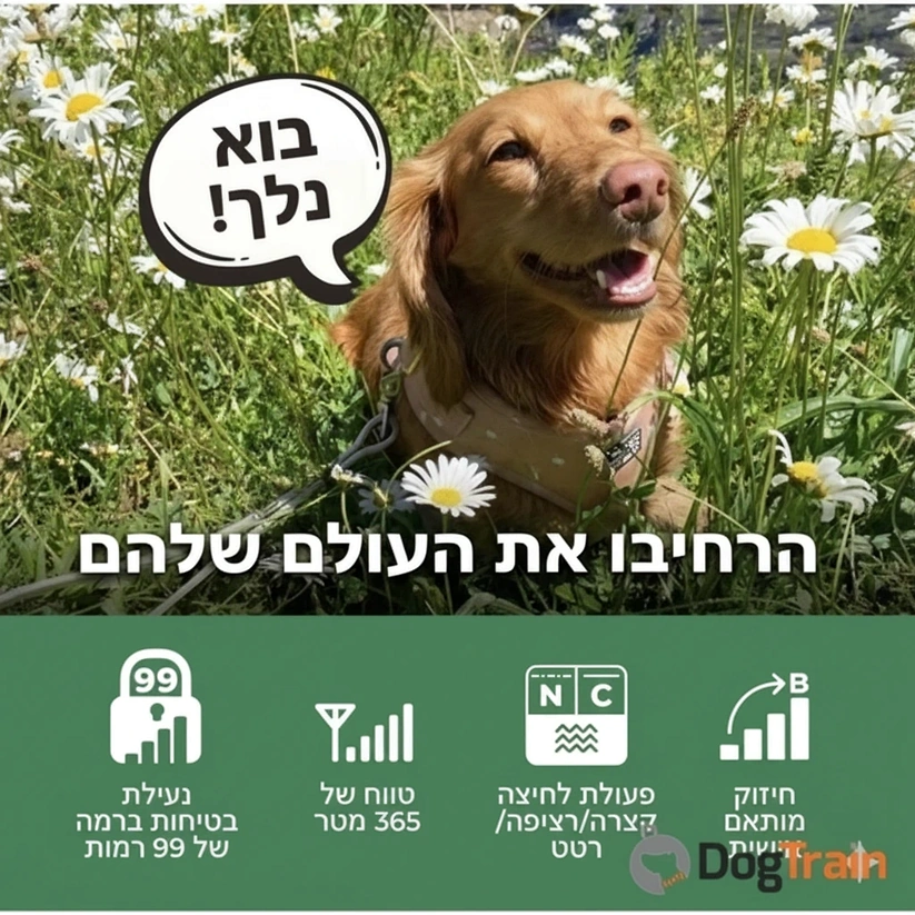 קולר_אלקטרוני_דוגטרה_דור_חדש_dogtra_IQ_FLEX_(CUE_GEN2)_3