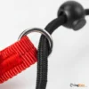 רצועת_סליפ_ליש_Slip_Leash_לאילוף_כלבים_4