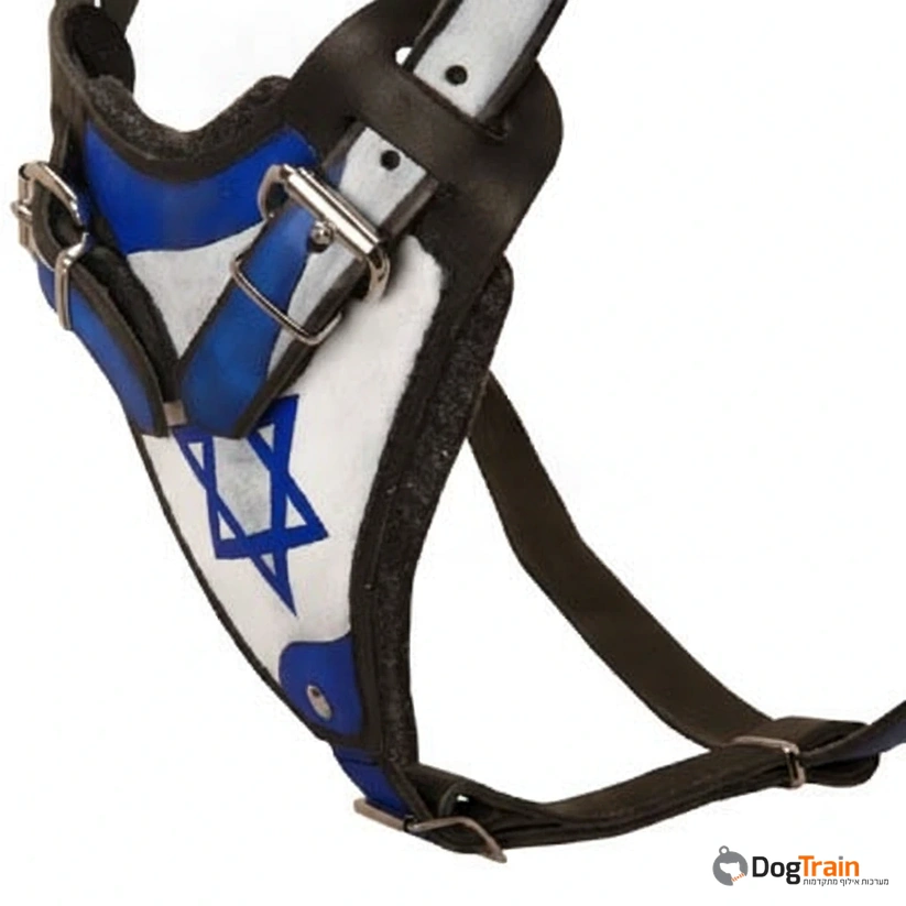 רתמת_עור_לכלב_ארץ_הקודש_לגישוש_ולהליכות_2