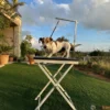 שולחן_מתקפל_לתספורת_ייבוש_וסירוק_הכלב_לבית,_למספרות_ולתערוכות_לכלבים_עד_15_ק_ג_3