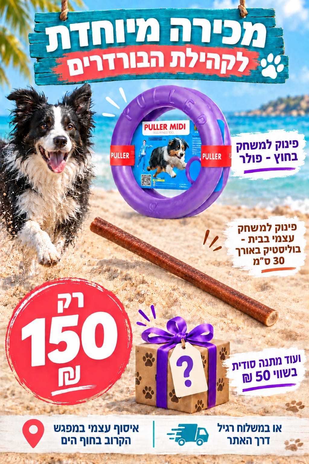 בנדל מיוחק לכלבי בורדר קולי בנדל מיוחק לכלבי בורדר קולי